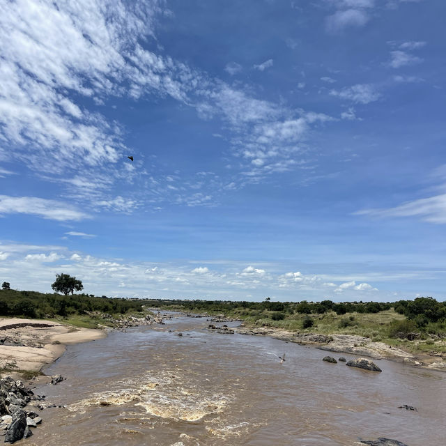 Where the two great wildlife parks meet 