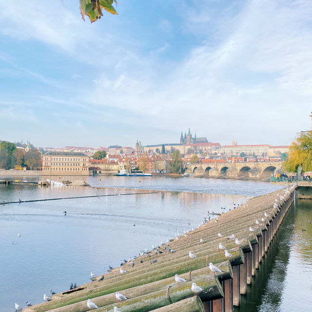 Prague catches my breath! Vibrant city with breathtaking architecture ✨