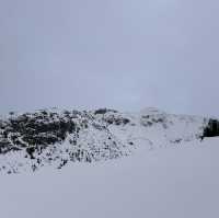 【Whistler Mountain in vancouver】🇨🇦    世界的なスキー⛷️の地でただの観光！？