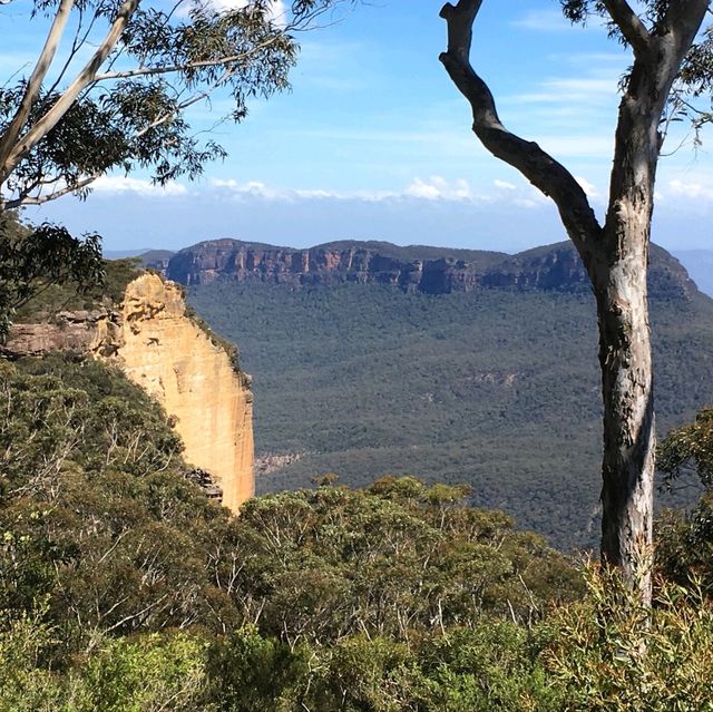 Sydney Uncovered: A 7-Day Adventure in Australia's Iconic City