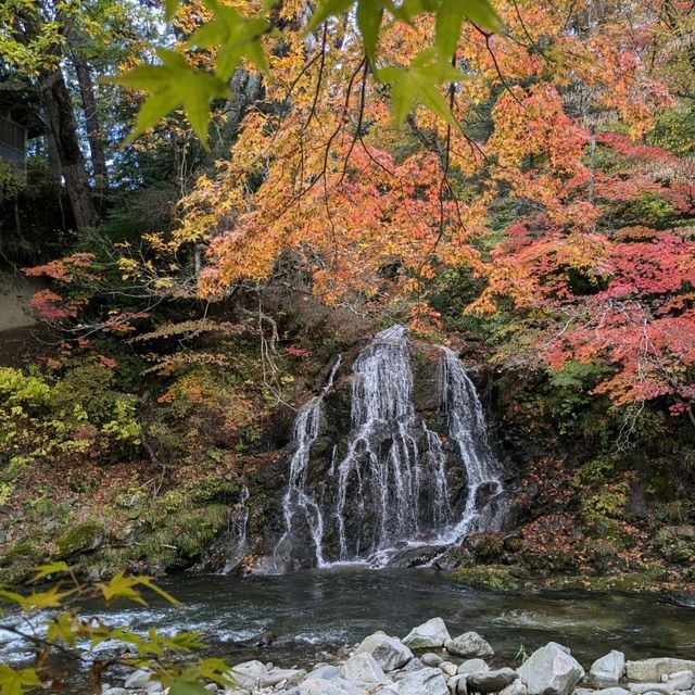 輕津之嵐山，移植自京都的紅葉名所：中野紅葉山