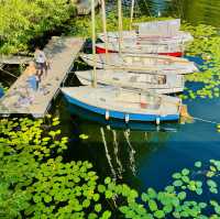 A city where urban charm meets nature seamlessly 🇸🇪 