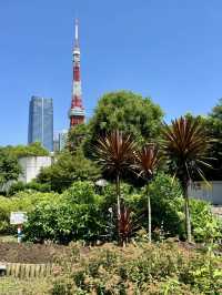 暮光下的寧靜綠洲：芝公園漫遊記