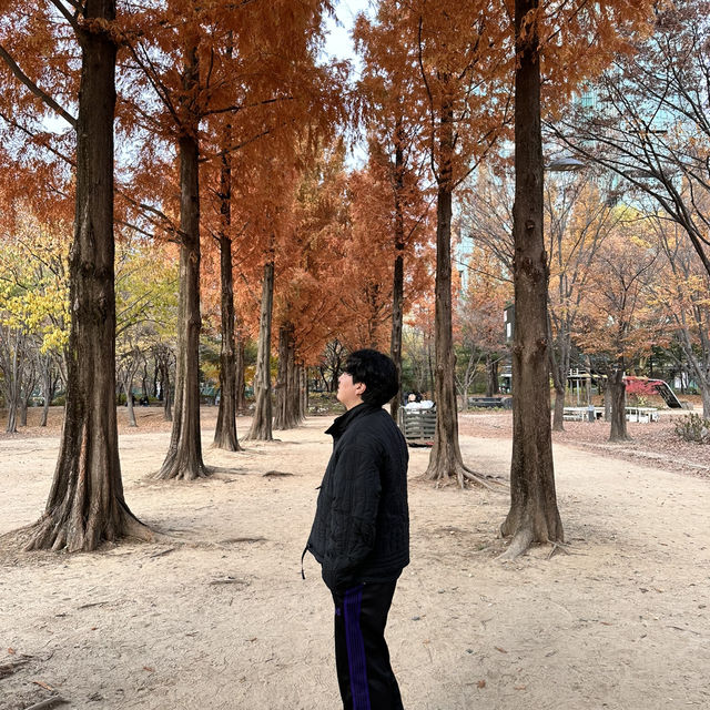 단풍과 어우러진 아기자기한 서울숲 데이트🍂🍁