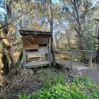 Nature’s Tranquil Haven: Yea Wetlands