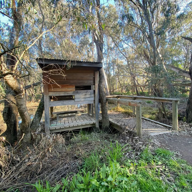 Nature’s Tranquil Haven: Yea Wetlands