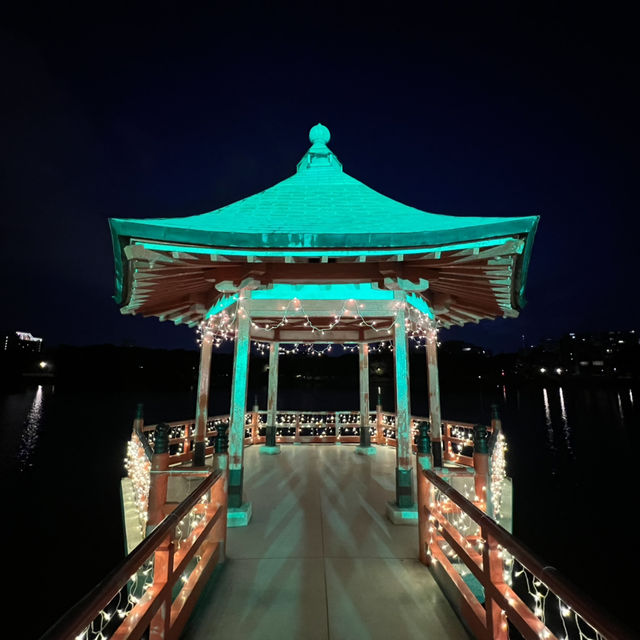 A Magical Fukuoka Experience: A Blend of History, Nature, and Festive Lights