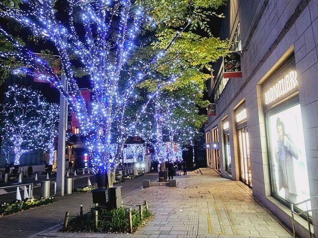 The magical illumination at Ropponggi Hills at Keyakizaka