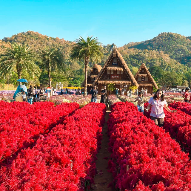 Hokkaido Flower Park Khao Yai 