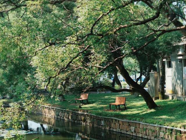 會同古村——珠海的「時光慢巷」