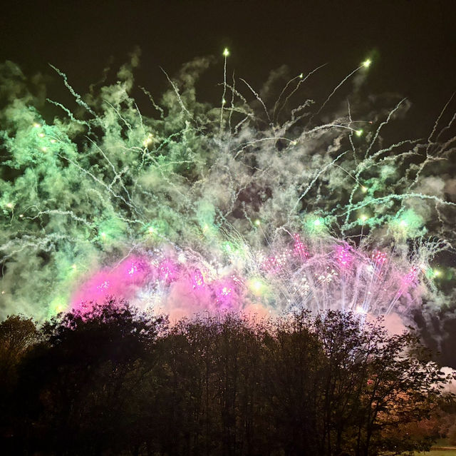 Fantastic fireworks display in Alexandra Palace Park