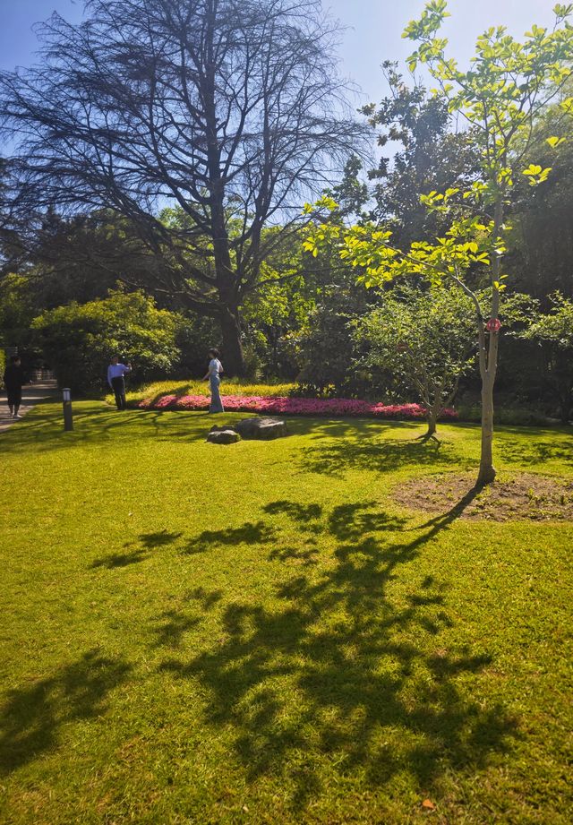 西郊賓館內花園