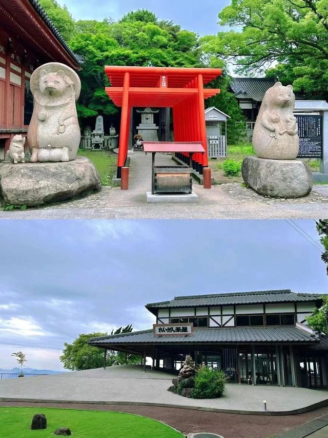 上海後花園