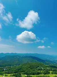 伊豆大室山｜日本抹茶山。