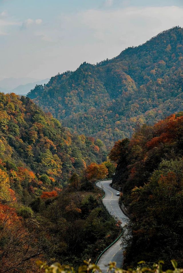 秋天旅遊推薦之秦嶺。