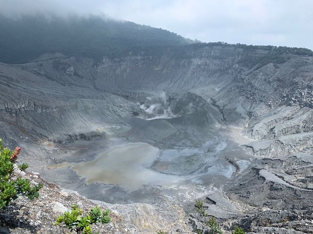 獨特火山體驗！玩轉印尼萬隆覆舟火山。