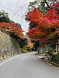 日本·京都