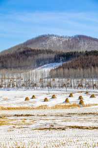 就為這一刻的雪景，我才跨越3000公里來東北