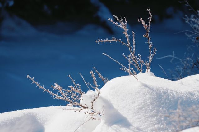 最美山西夢幻雪山管涔山：山西的阿勒泰