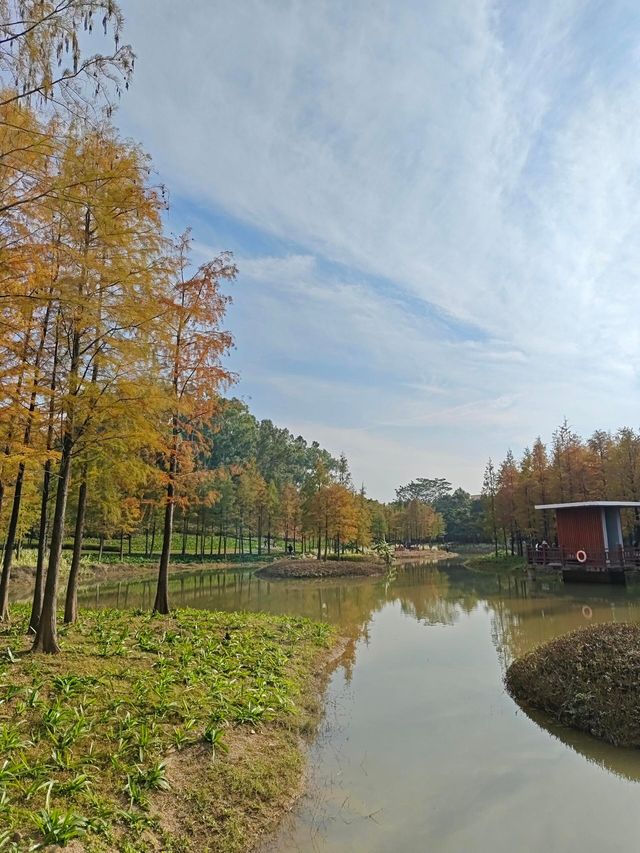 深圳紅花嶺公園