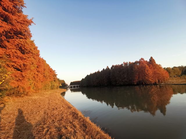 絢爛的畫卷~~海灣國家森林公園