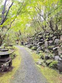 6天玩遍日本 超詳細攻略來襲