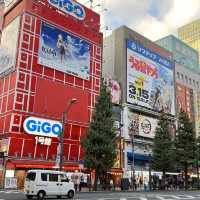 Electric town at Akihabara 