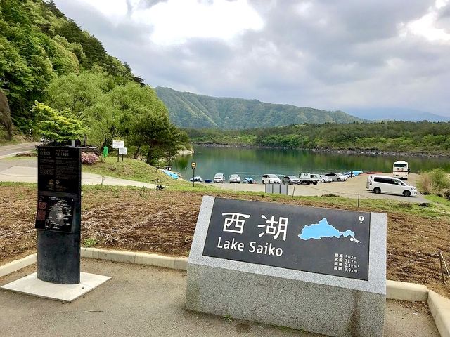 Saiko Lake