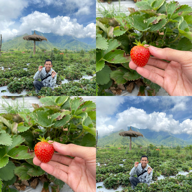 Amazing view in Sembalun, Lombok