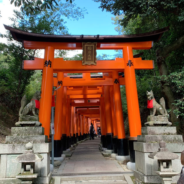 Journey Through A Thousand Torii at Fushimi Inari Shrine