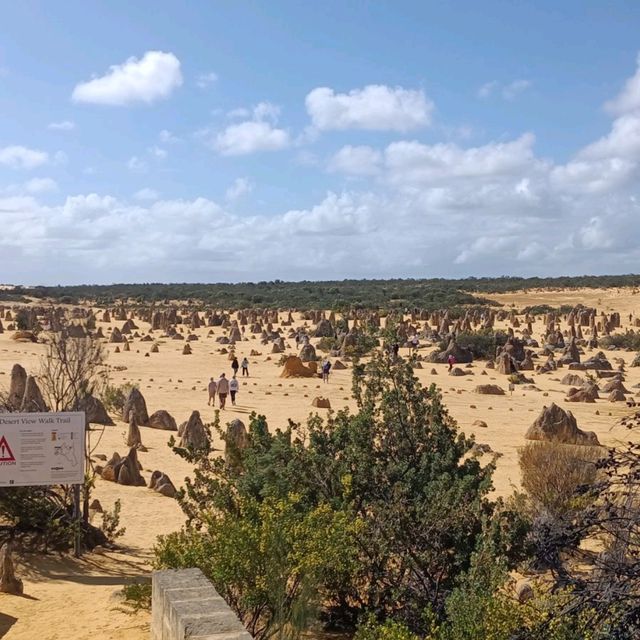 Pinnacles of Western Australia 