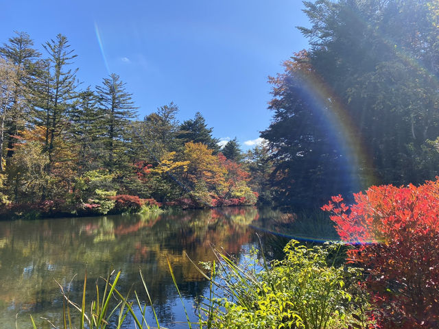 輕井澤雲場池🍁