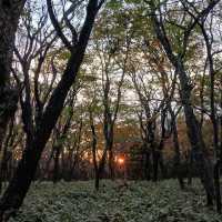 🌿 한라산 백록담, 그 아름다운 순간 🌿