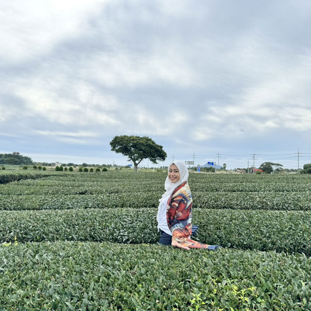 Our Amazing Jeju Trip - Feeling Like Real Koreans!