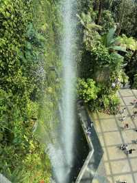 A Mystical Escape at Singapore’s Cloud Forest