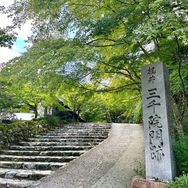 大阪京都二刷旅行攻略：小眾秘境推薦，不走尋常路！