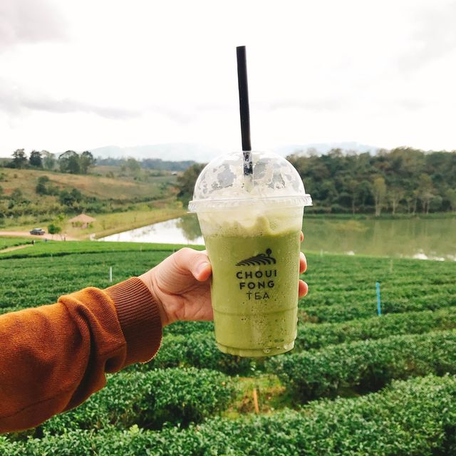 🇹🇭不能錯過在清萊的翠峰茶園 ｜既有茶製蛋糕又可以拍卡拍照！