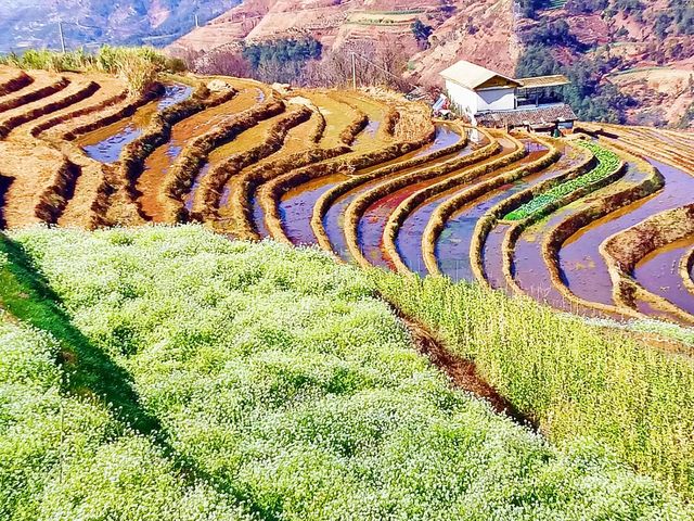 米易新山傈僳族鄉梯田