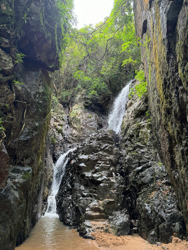 深圳龍華區陽台山森林公園| 踏進森林棧橋抵達深圳綠野秘境