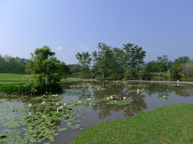 景洪·熱帶植物園西區——園藝的巔峰之作。