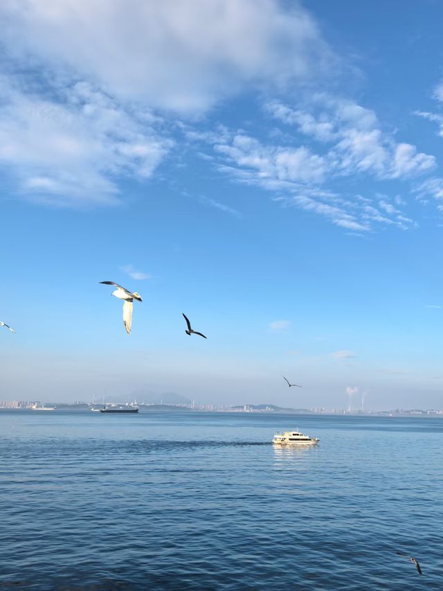 乘風破浪，我的葫蘆島出海記～。