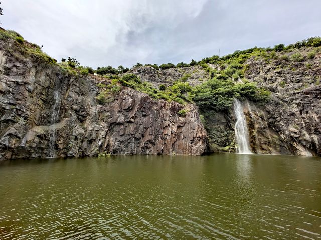 不是阿勒泰，是辰山植物園孤獨又浪漫的樹。