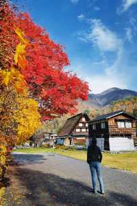 白川鄉避雷指南：周三勿往，出行必備攻略。