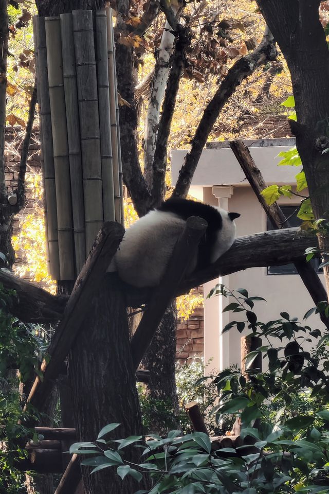 來看花花懶人就這樣走 不擠熱鬧攻略