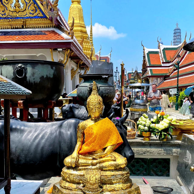 Captivating bangkok in temples and river