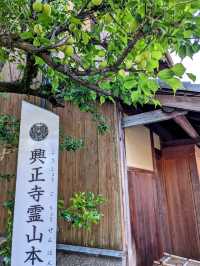 日本京都-來到京都必定造訪的人氣景點：清水寺