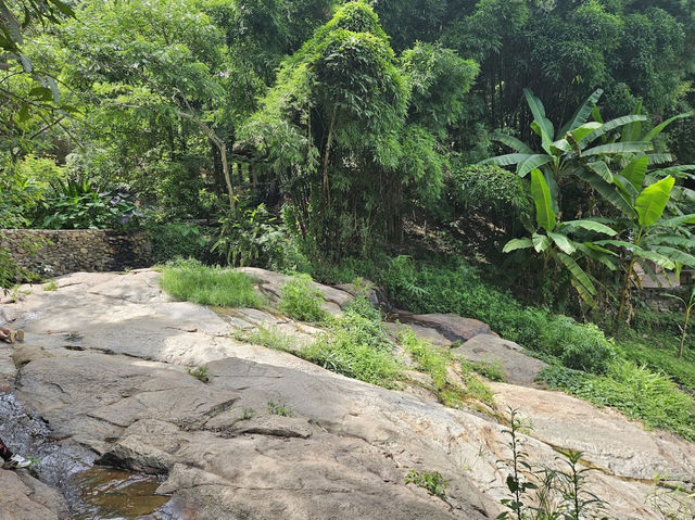 Doi Suthep Hiking Trail (Wat Pha Lat) 