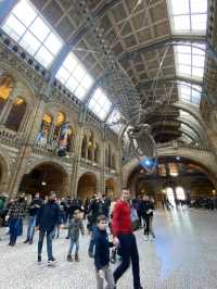 Step Back in Time:Natural History Museum