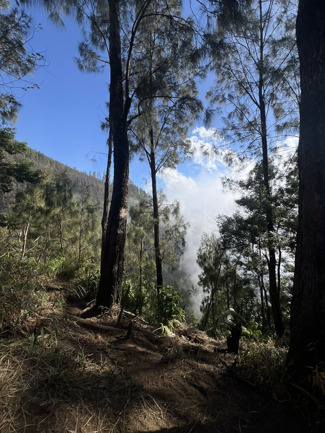 A Beautiful View From Mt. Lawu ⛰️