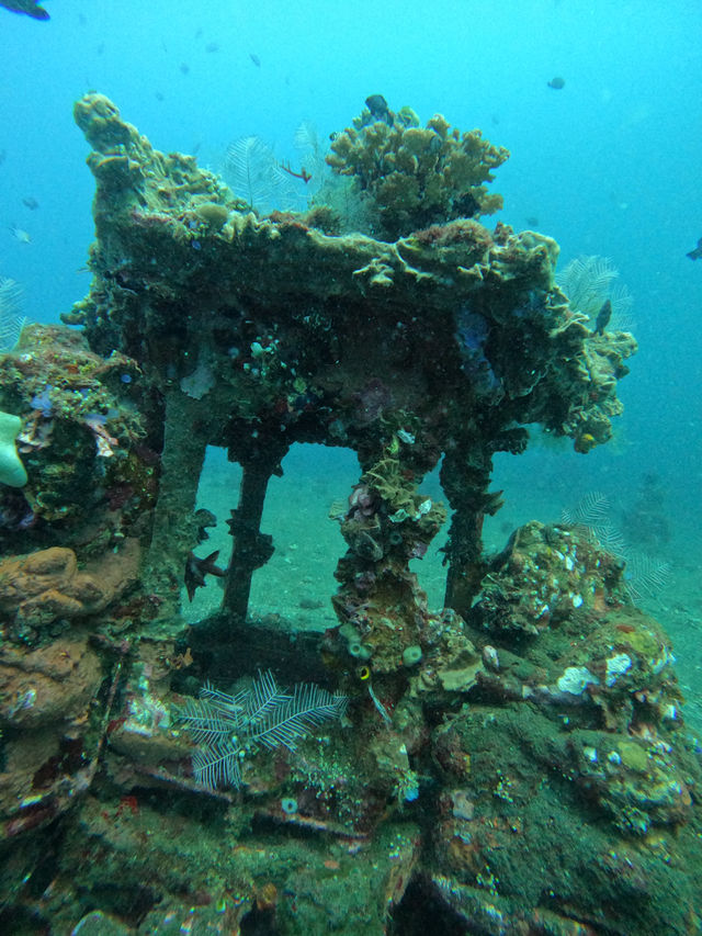 Scuba Diving At Coral Garden Bali 🪸🤿 